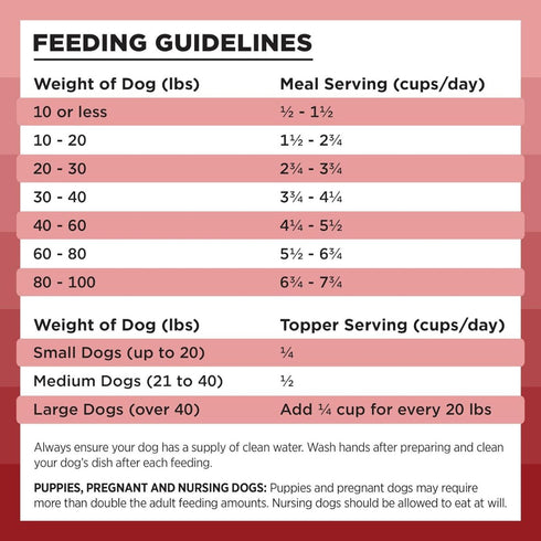 Bixbi Rawbble Freeze-Dried Beef Dog Food 12oz - Poudre Pet & Feed Supply 3